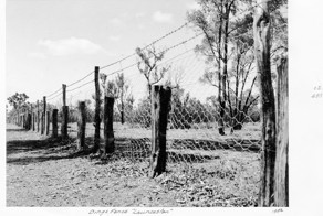 Заборы Австралии: от кошек, кроликов и собак динго