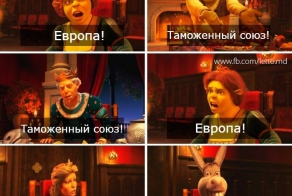  Осёл дело говорит