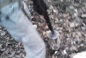 Опасная рубка дров 