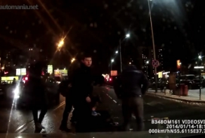 Любитель перебегать дорогу