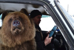 Только для жителей России