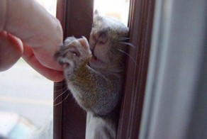 Смешные картинки