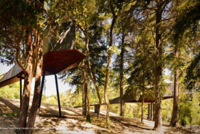 Лесные экодома Tree Snake Houses