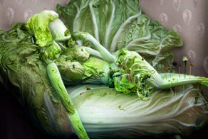 Вегетарианское творчество Ju Duoqi