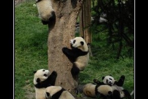 Смешной демотиватор от zubrilov за 10.08.2012 №123990