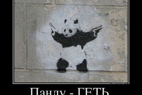 В тему дня
