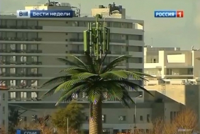 Замаскировали