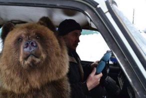 Давайте чаще улыбаться!