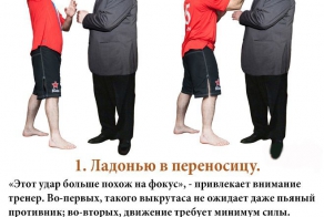 Как вырубить Джигурду и Киркорова