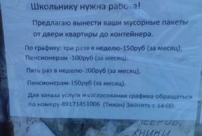 Оригинальный способ заработать