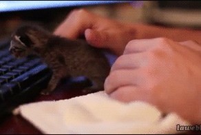 Дошколята рвутся в интернет