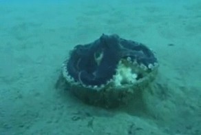 Взял и ушёл