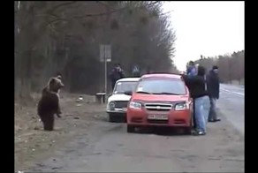 Медведь хотел заломать мужика!
