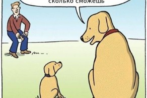 Мое избранное из Намалевича. Часть 3