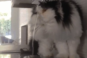 Неудача