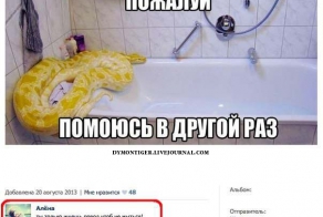 Смешные комментарии из социальных сетей