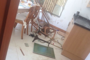 Неожиданный утренний гость