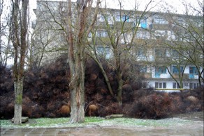 Поселок в Крыму завалило перекати-поле