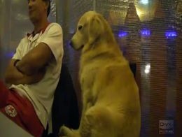 Подборка роликов от 01.10.2012