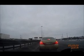 Олень остановился побычить в левом ряду