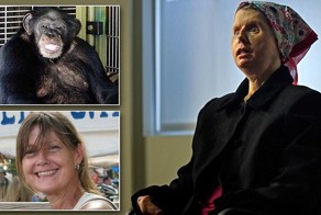 Шимпанзе сгрыз женщине лицо и руки