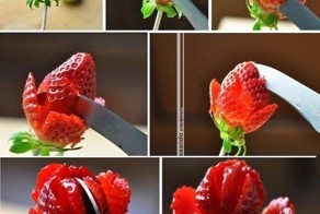 Вкусная роза