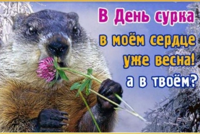 Фишкина солянка за 2.02.2014