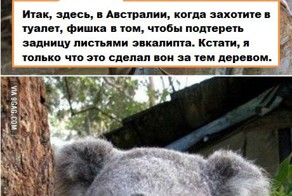 Путешественнику на заметку.