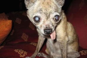 Пикантный фотоприкол