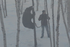 Это просто Россия