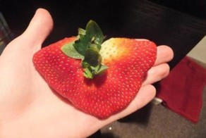 Шикарное фото