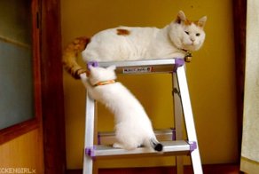 Мама,ну дай уже укусить=)