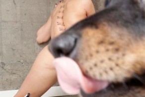 Прикольные фото и картинки от zubrilov за 13.08.2012 №124208