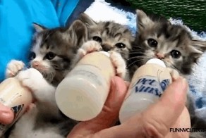 Тройное счастье=)