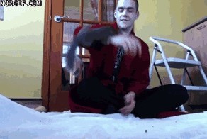 Ручная белка