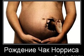 Смешной демотиватор от zubrilov за 13.08.2012 №124259