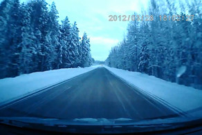 Улетел в снег