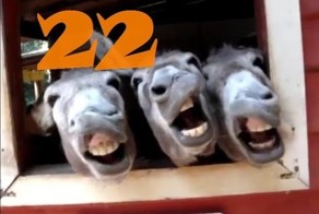 Подборка Приколов. Выпуск #21 и Выпуск #22