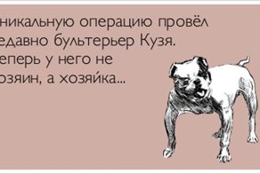 Прикольные Аткрытки