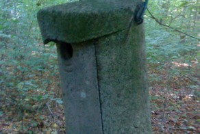 skvorechnik w germanii. okrestnosti Bonna...