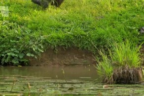 Безудержное веселье