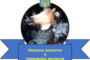 Оппозиционное правительство Украины
