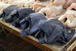 Существуют чёрные куры, у которых чёрная кожа и внутренние органы