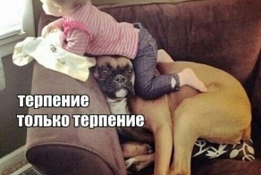 Собако-пост