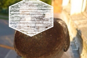 Если бы глаза у голубя были спереди