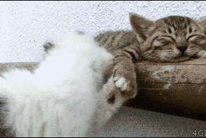 Расслабуха...