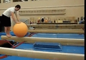 Тупость поощряется болью.