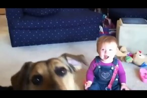  Спорим, что засмеешься!