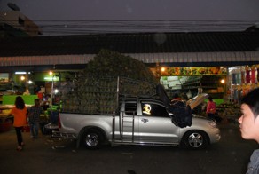 Путин: В Lada Granta влезет 2 мешка картошки!" сколько влезет в Hilux