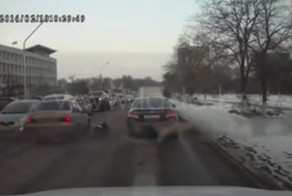 Осторожно, олень на дороге!